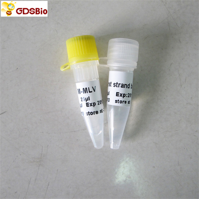 PCR μ-Mlv αντίστροφο Transcriptase Rt αντιδραστηρίων PCR R1041/R1042