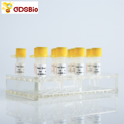 Έλεγχος QPCR GDSBio HS πραγματικός - χρονικό PCR μίγμα P2201 P2202