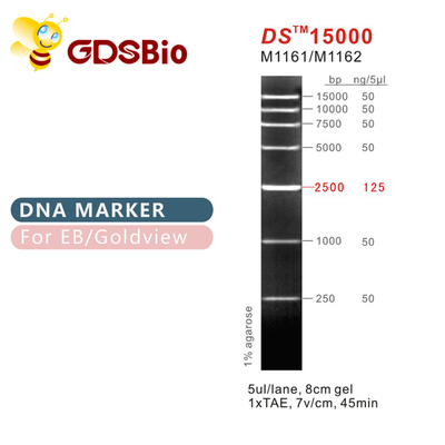 DS15000 σκάλα M1161 (50μg) /M1162 δεικτών DNA (5×50μg)