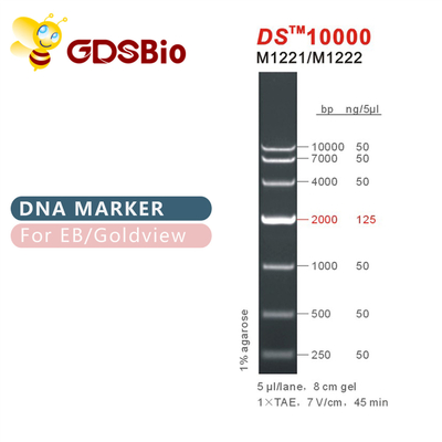 DS10000 σκάλα M1221 (50μg) /M1222 δεικτών DNA (5×50μg)