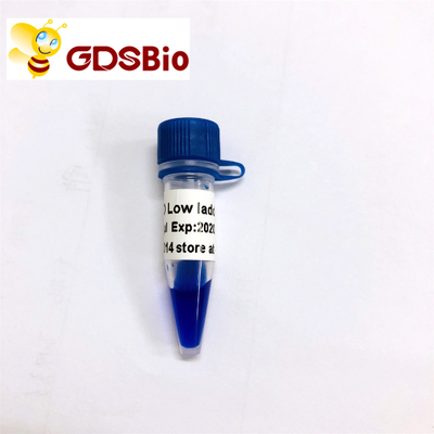 Χαμηλός δείκτης LM1031 (60 προετοιμασίες) /LM1032 DNA σκαλών LD (60 preps×3)