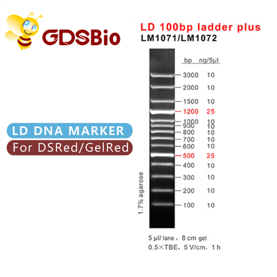 60 σκάλα προετοιμασιών LD 100bp συν την ηλεκτροφόρηση δεικτών DNA