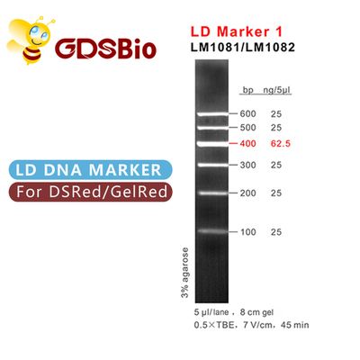 Μπλε δείκτης 1 εμφάνισης LD ηλεκτροφόρηση δεικτών DNA