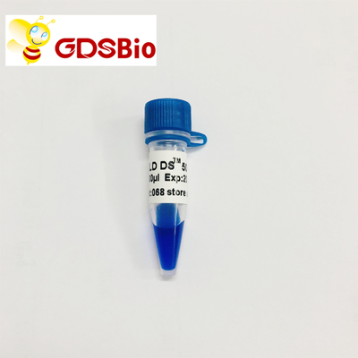 GDSBio LD DS 5000 μπλε εμφάνιση ηλεκτροφόρησης δεικτών DNA