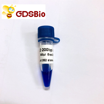 200bp μπλε εμφάνιση GDSBio σκαλών δεικτών ηλεκτροφόρησης πηκτωμάτων