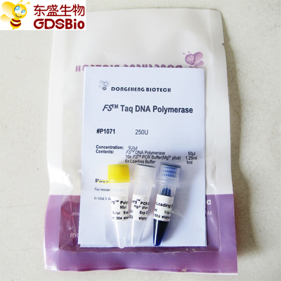 PCR QPCR FS Taq πολυμεράση P1071 P1072 P1073 P1074 DNA