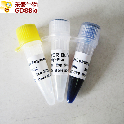 Μπλε απομονωτής Taq συν την πολυμεράση DNA για PCR P1031 P1032 P1033 P1034