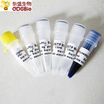 Πολυμεράση DNA Pfu για PCR P1021 P1022 P1023 P1024