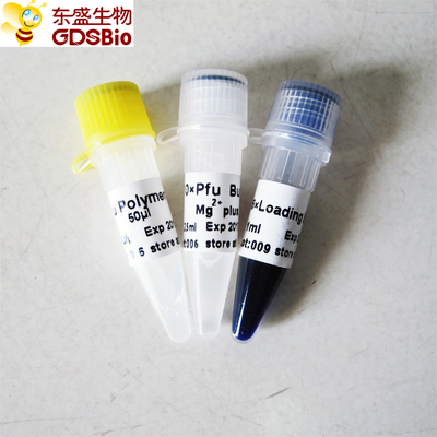 Πολυμεράση DNA Pfu για PCR P1021 P1022 P1023 P1024
