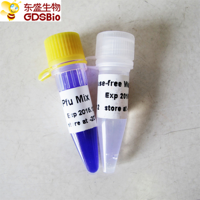 PCR μιγμάτων Pfu Hotstart κύριο μίγμα P2051 1m μπλε απομονωτής P2052