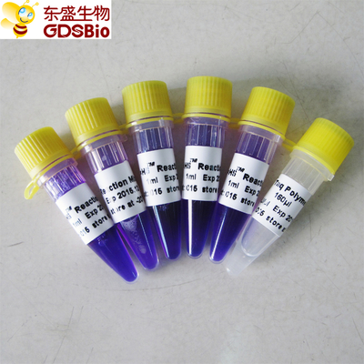 1ml×5 PCR κύρια εξάρτηση μιγμάτων HS για PCR νουκλεϊνικού οξέος την ανίχνευση P3082