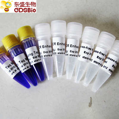 Μακρύ PCR Taq 3ml κύριο κύριο μίγμα απομονωτών μιγμάτων μπλε για PCR
