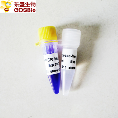 PCR 2x Taq μπλε απομονωτής μιγμάτων P2011 1ml GDSBio αντίδρασης