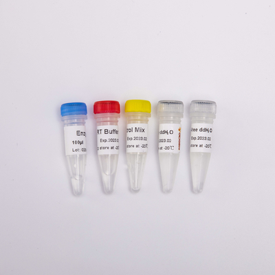 RT PCR το μίγμα για QPCR πρόμιξε τα αντίστροφα PCR Transcriptase αντιδραστήρια R1031