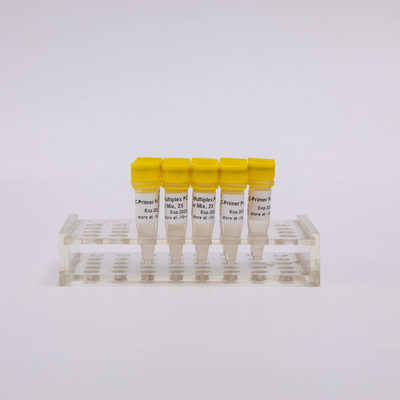 ΑΡΤΙΚΗ PCR κατασκευής βιβλιοθήκης SAR-CoV-2 NGS πολλαπλή εξάρτηση