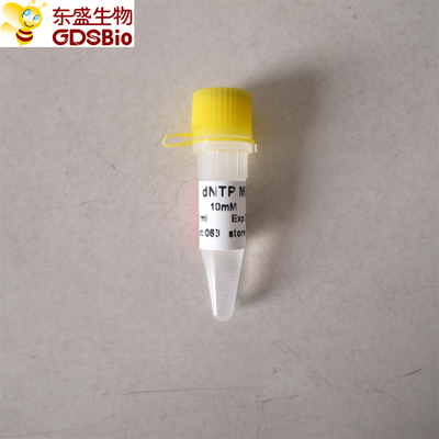 dNTP μίγμα για PCR qPCR P9013 1ml