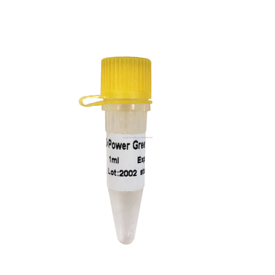 PCR δύναμης πράσινη αντιδραστηρίων αποδοτικότητα ενίσχυσης μιγμάτων P2101 υψηλή
