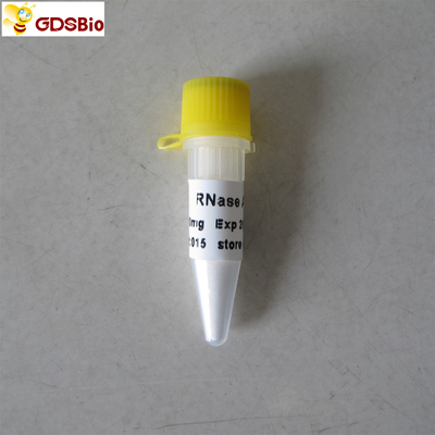 N9046 100 mg τεχνητό διαγνωστικό RNase προϊόντων μια σκόνη