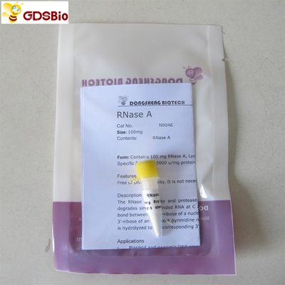 N9046 100 mg τεχνητό διαγνωστικό RNase προϊόντων μια σκόνη
