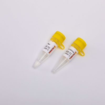 Χρυσά αντίστροφα PCR Transcriptase αντιδραστήρια R3001 2000U