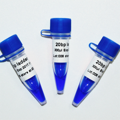 20bp μπλε εμφάνιση GDSBio ηλεκτροφόρησης δεικτών DNA σκαλών