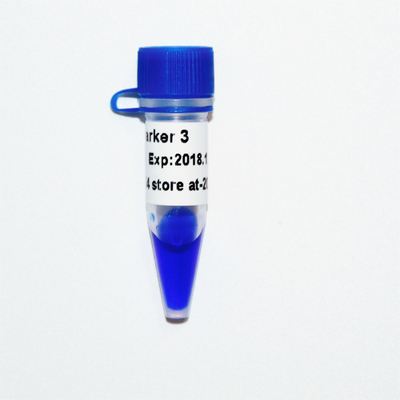 Δείκτης 3 GDSBio μπλε εμφάνιση ηλεκτροφόρησης πηκτωμάτων δεικτών DNA