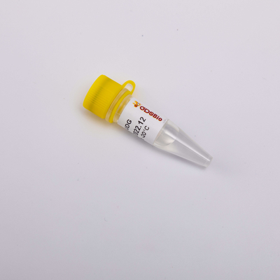 Ασταθές κύριο μίγμα θερμότητας για πραγματικό - χρονικό PCR UDG ιδιαίτερα αποτελεσματικό αντι ένζυμο μόλυνσης