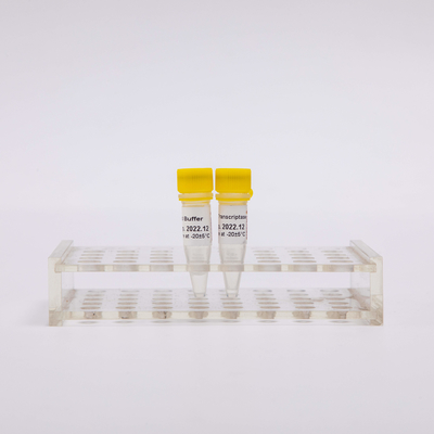 10000U χρυσή αντίστροφη PCR R3002 Transcriptase άχρωμη εμφάνιση