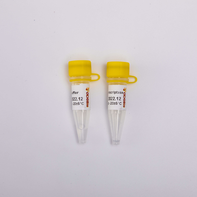 10000U χρυσή αντίστροφη PCR R3002 Transcriptase άχρωμη εμφάνιση