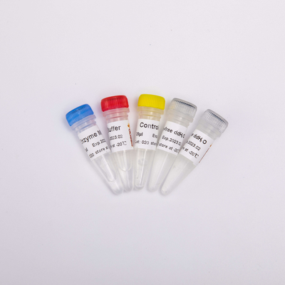 PCR GDSBio RT R1031 το μίγμα για QPCR πρόμιξε τα αντίστροφα PCR Transcriptase αντιδραστήρια