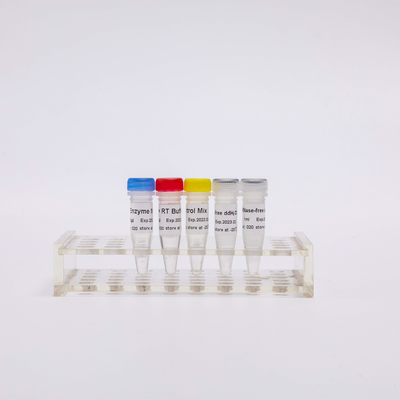 PCR Transcriptase GDSBio αντίστροφα αντιδραστήρια