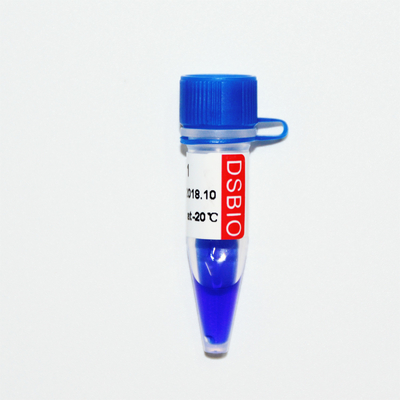Δείκτης 1 μπλε εμφάνιση ηλεκτροφόρησης 400bp 50ug δεικτών DNA
