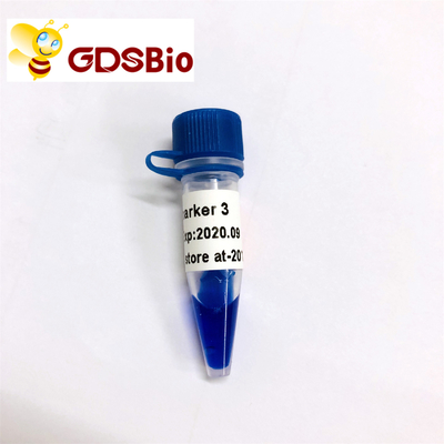 Δείκτης 3 GDSBio LD ηλεκτροφόρηση δεικτών DNA 60 προετοιμασίες