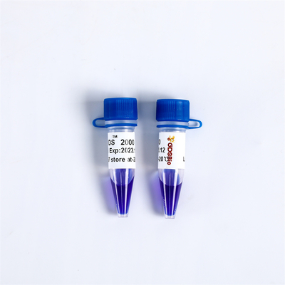 Ηλεκτροφόρηση δεικτών DNA χρωστικών ουσιών νουκλεϊνικού οξέος για την ένωση LD DS 2000 LM1101 LM1102