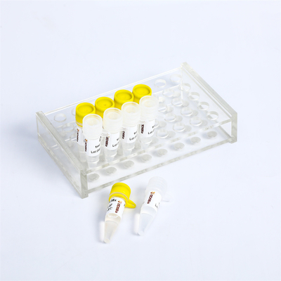 P2101 PCR κύρια εξάρτηση 400 μιγμάτων αντίδραση Rxn 20μL