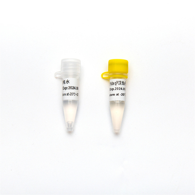 Άμεσο πολλαπλό κύριο μίγμα ελέγχων για πραγματικό - χρονικό PCR με το ένζυμο 1ml Udg