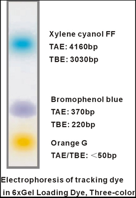 6× χρωστική ουσία τρία EDTA 1mlx5 φόρτωσης πηκτωμάτων απομονωτών ηλεκτροφόρησης DNA χρώματος