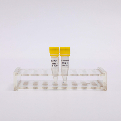 cDNA Rt PCR χρυσό αντίστροφο Transcriptase R3001 2000U R3002 10000U